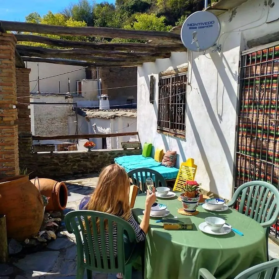 Castano Real Villa Atalbeitar Holiday home