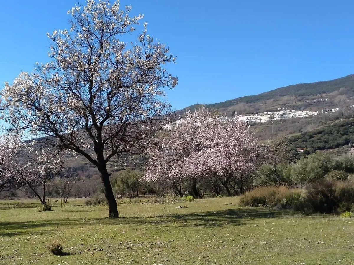 Holiday home Castano Real Villa Atalbeitar
